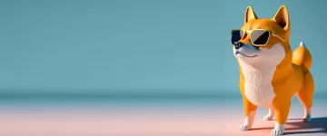 Cool dog with sunglasses on